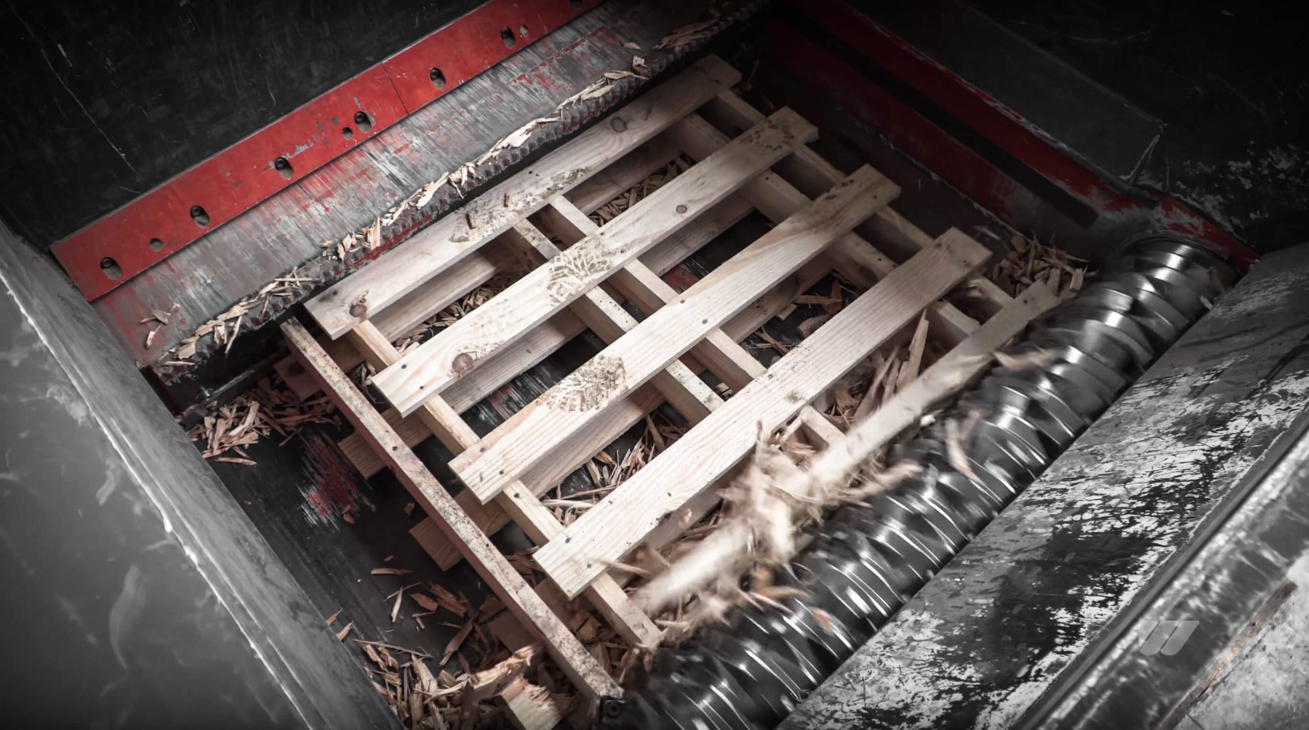 Shredding of pallets in the cutting chamber of a WLK 1500 shredder
