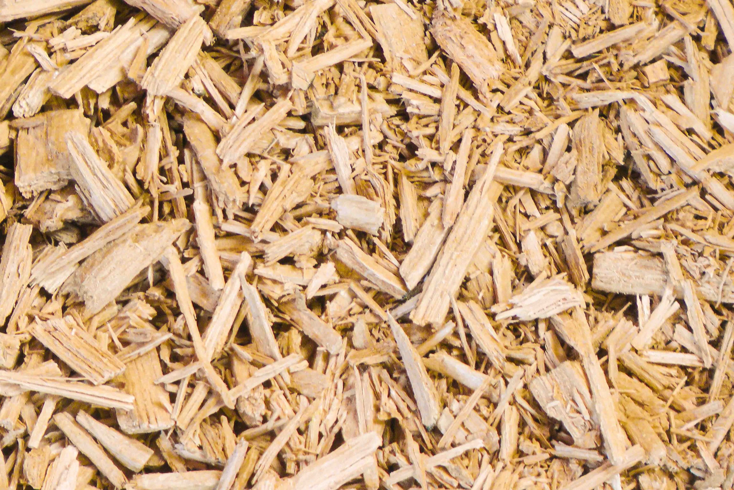 Solid wood chips