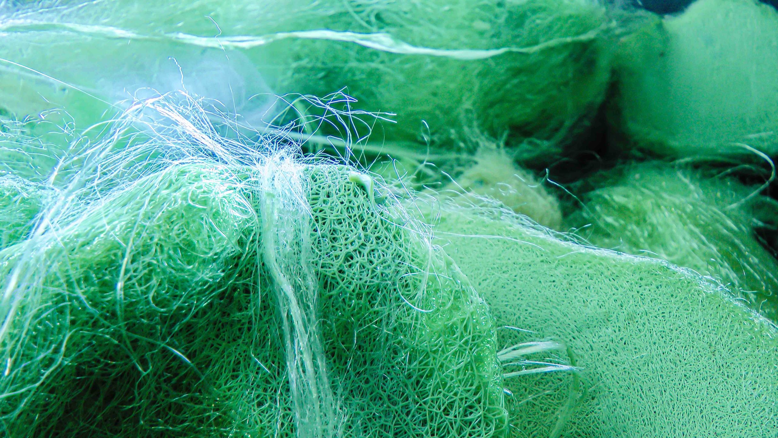Märkische fiber can be recycled and fed back into the material cycle