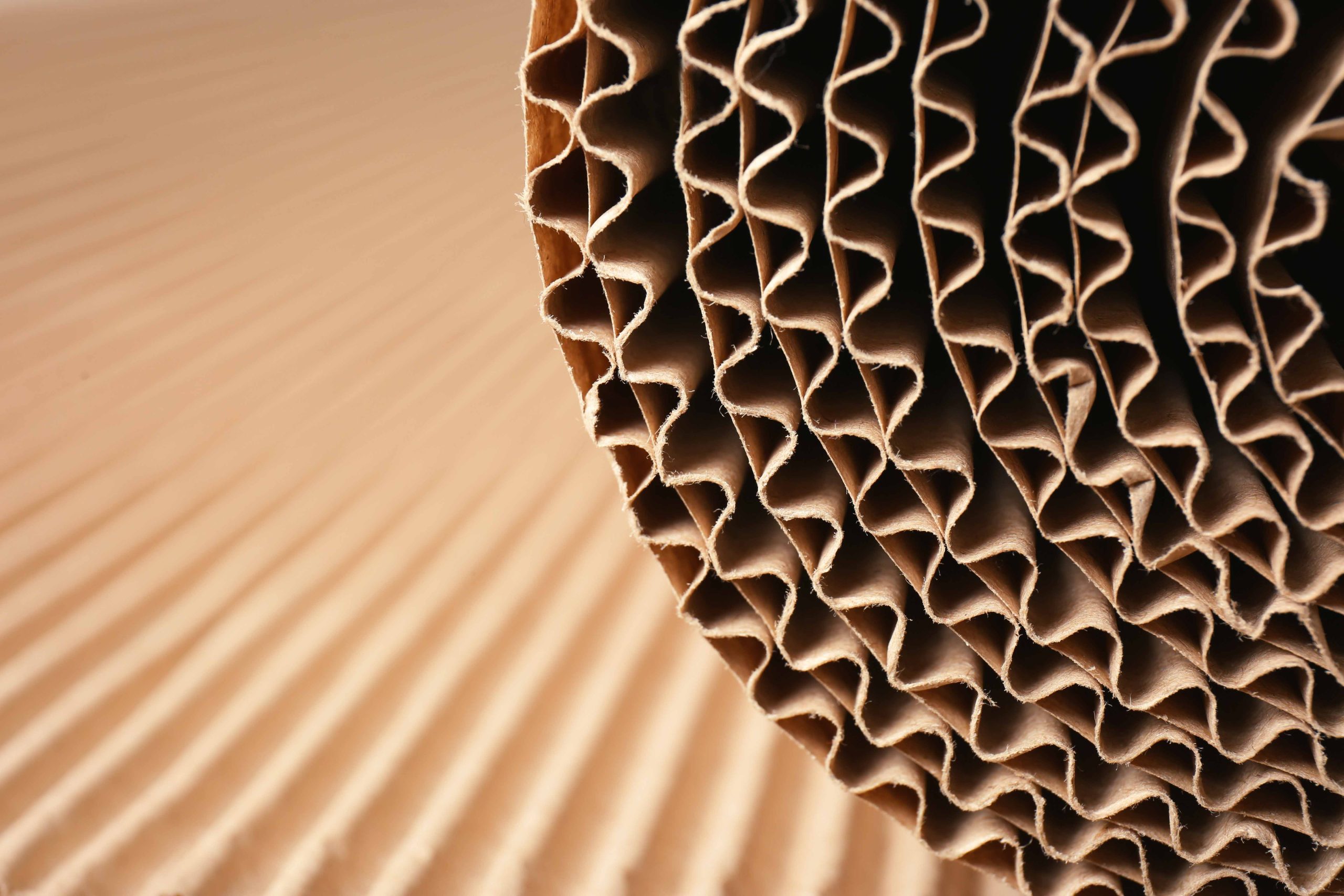 Rolled corrugated board