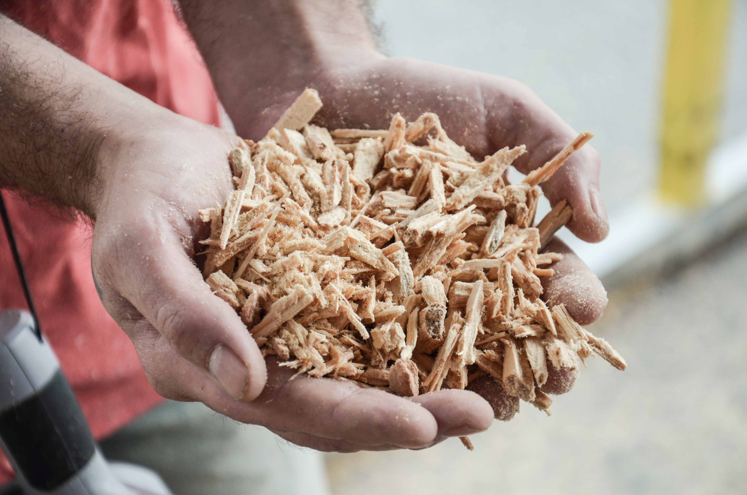 Wood chips are picked up with hands