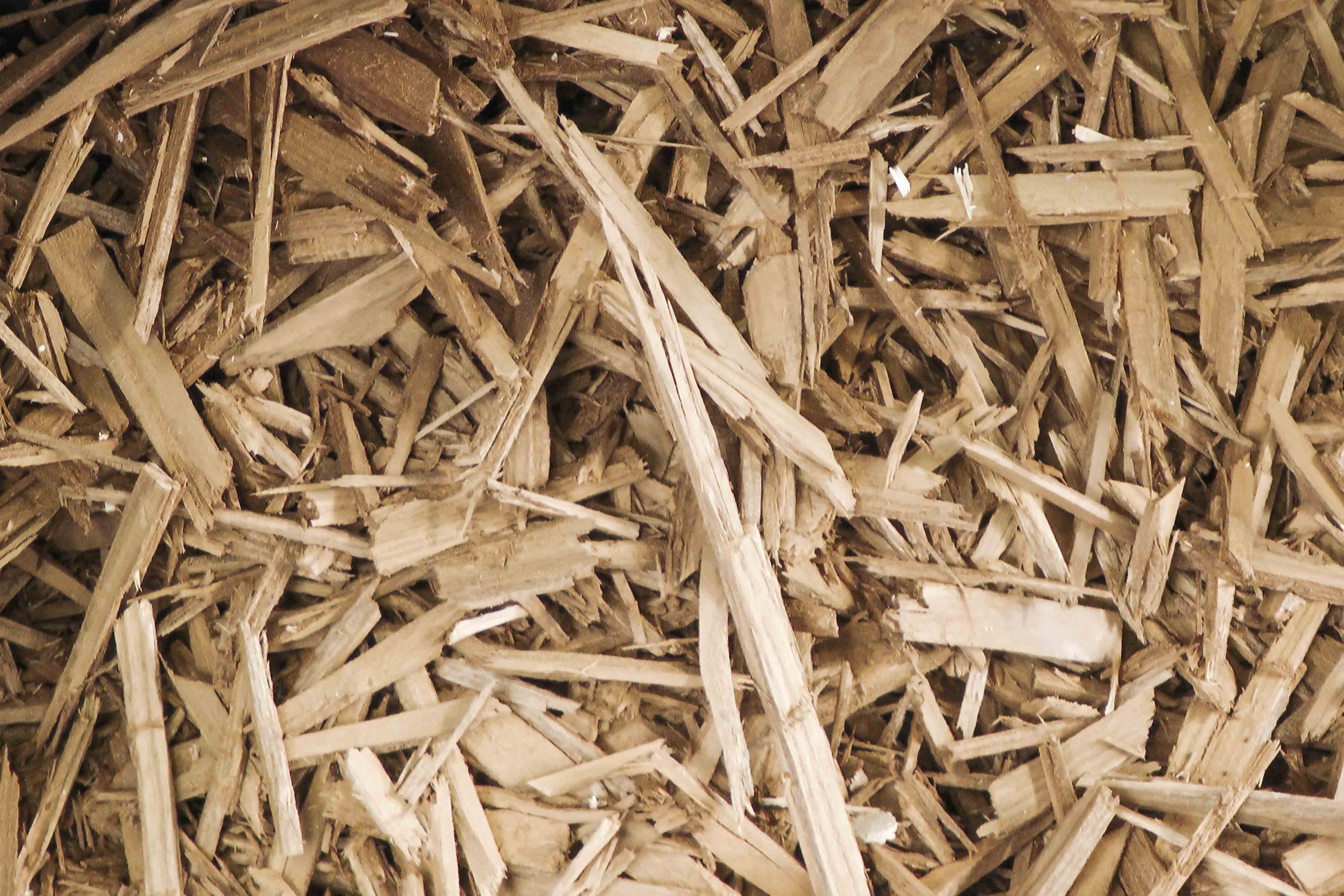 Heap of pre-broken wood