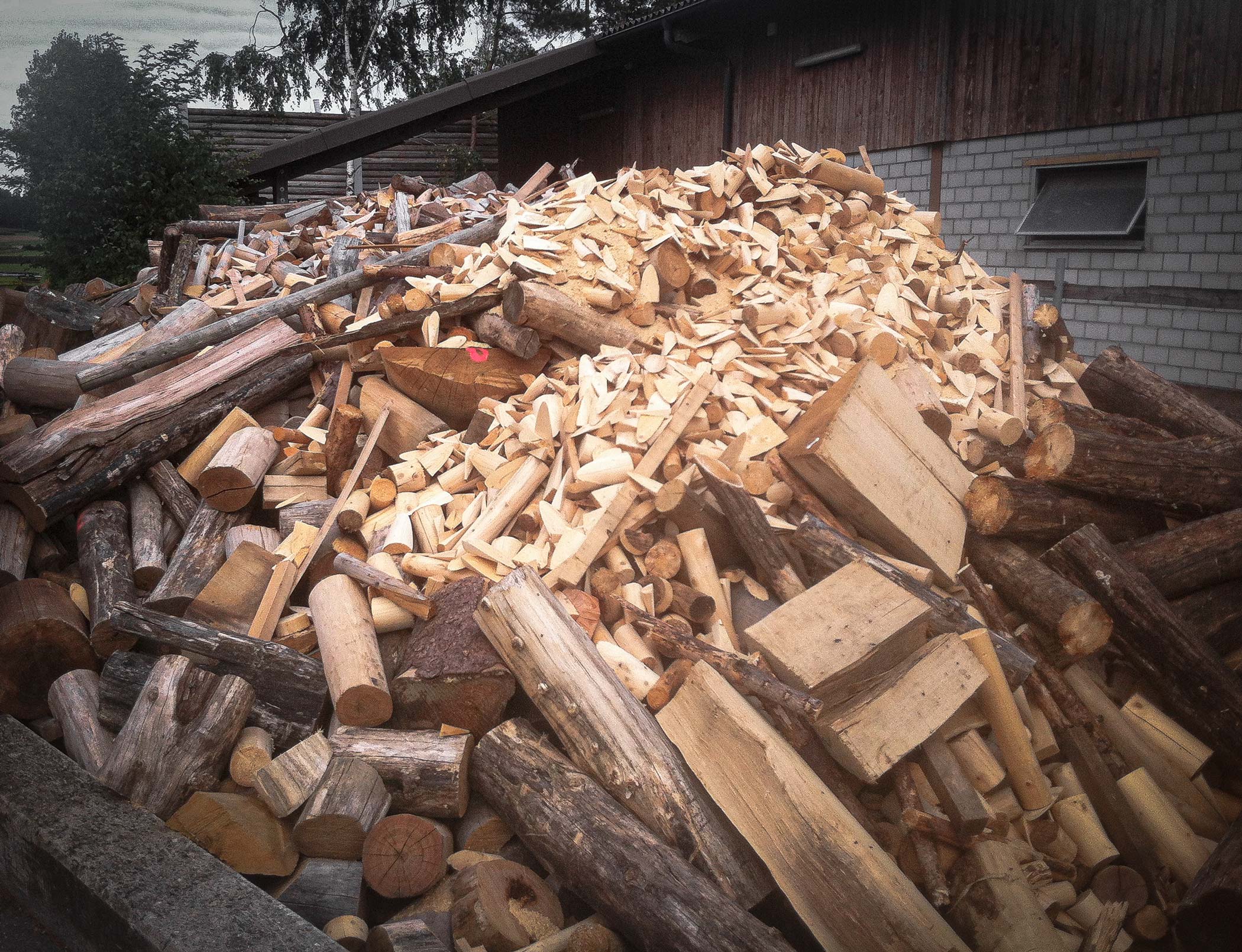 Wood from tree trunks on a pile before shredding for wood chip production