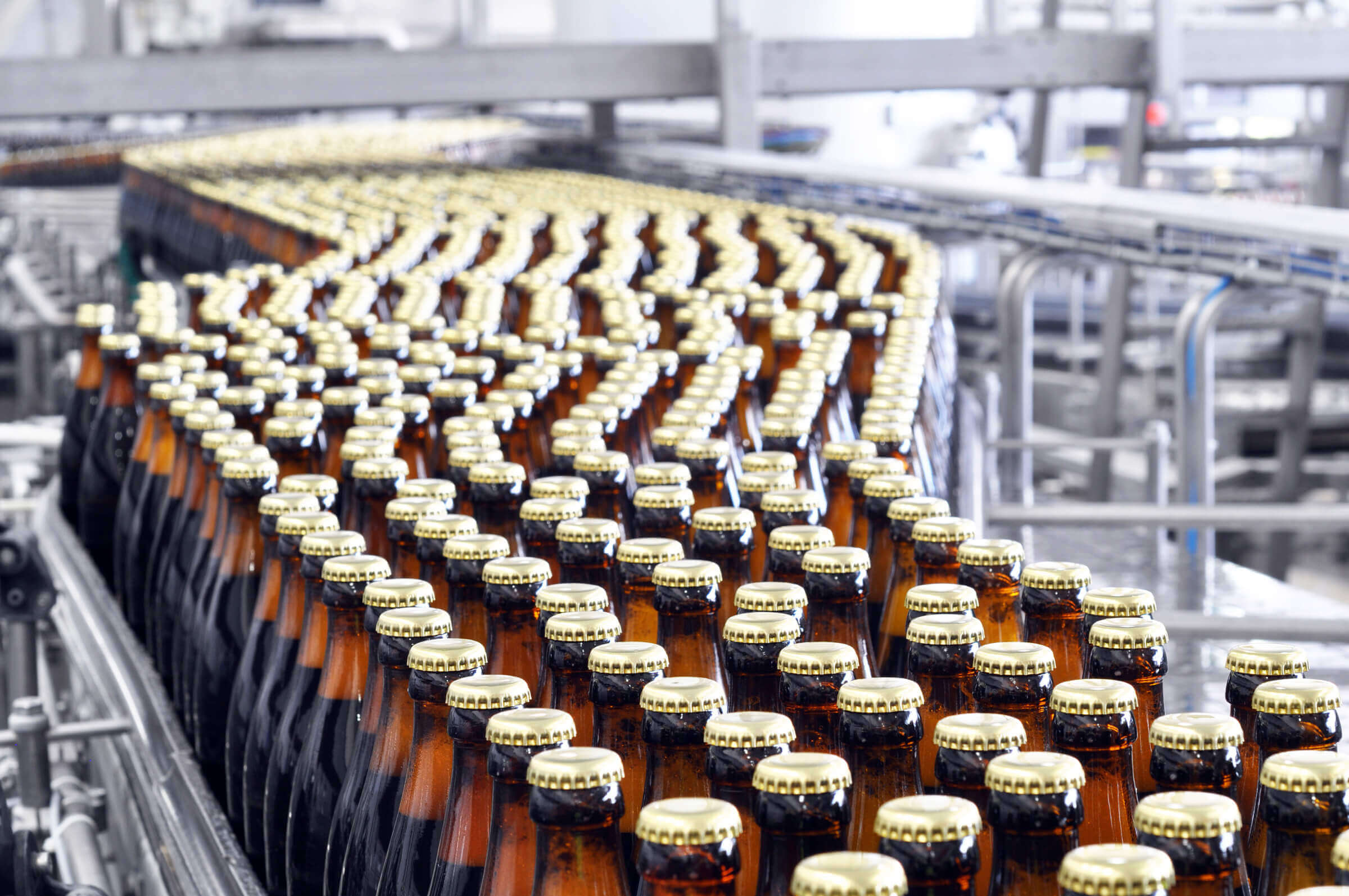Beer bottles without labels after bottling process in brewery