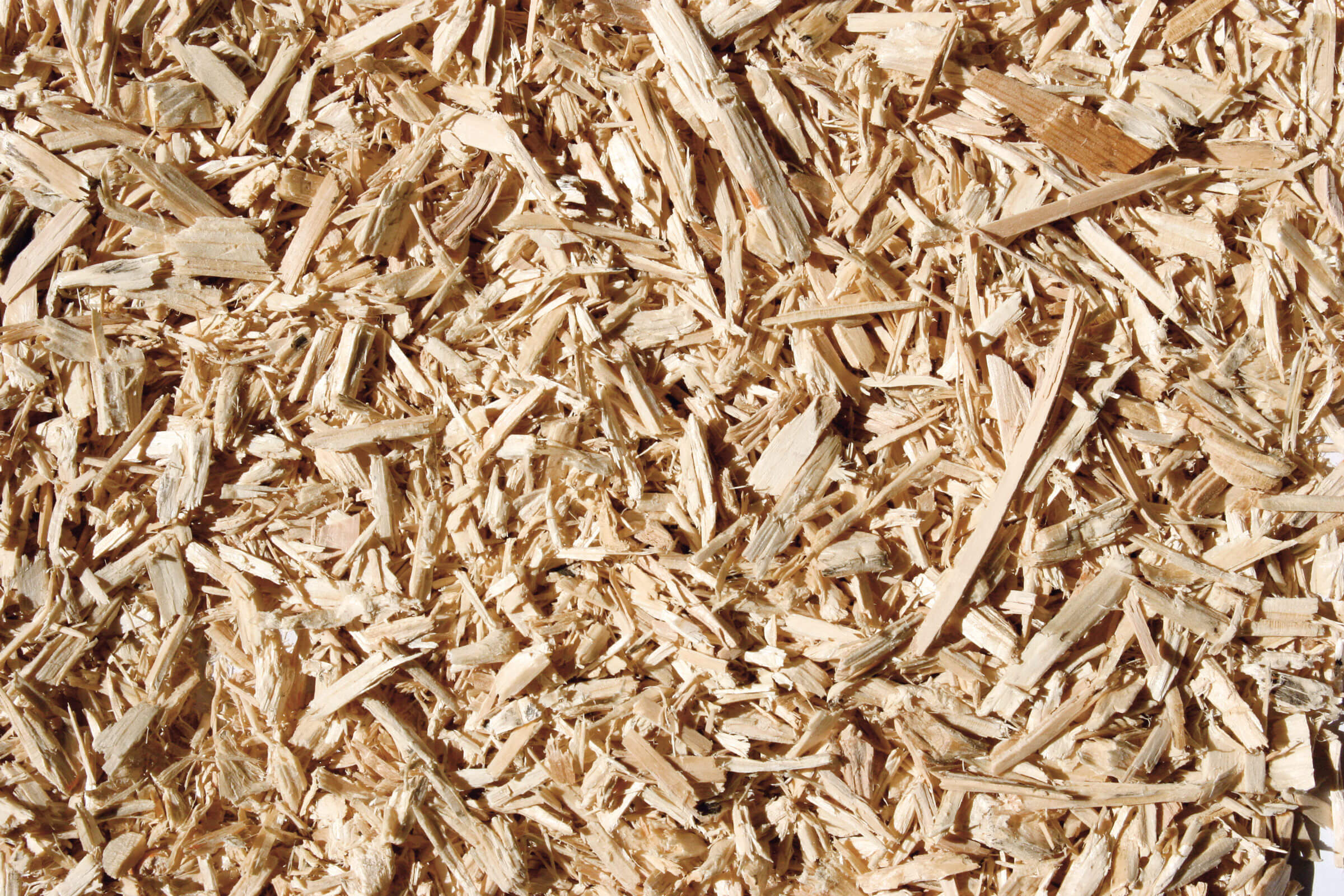 Dried wood chips from pallets