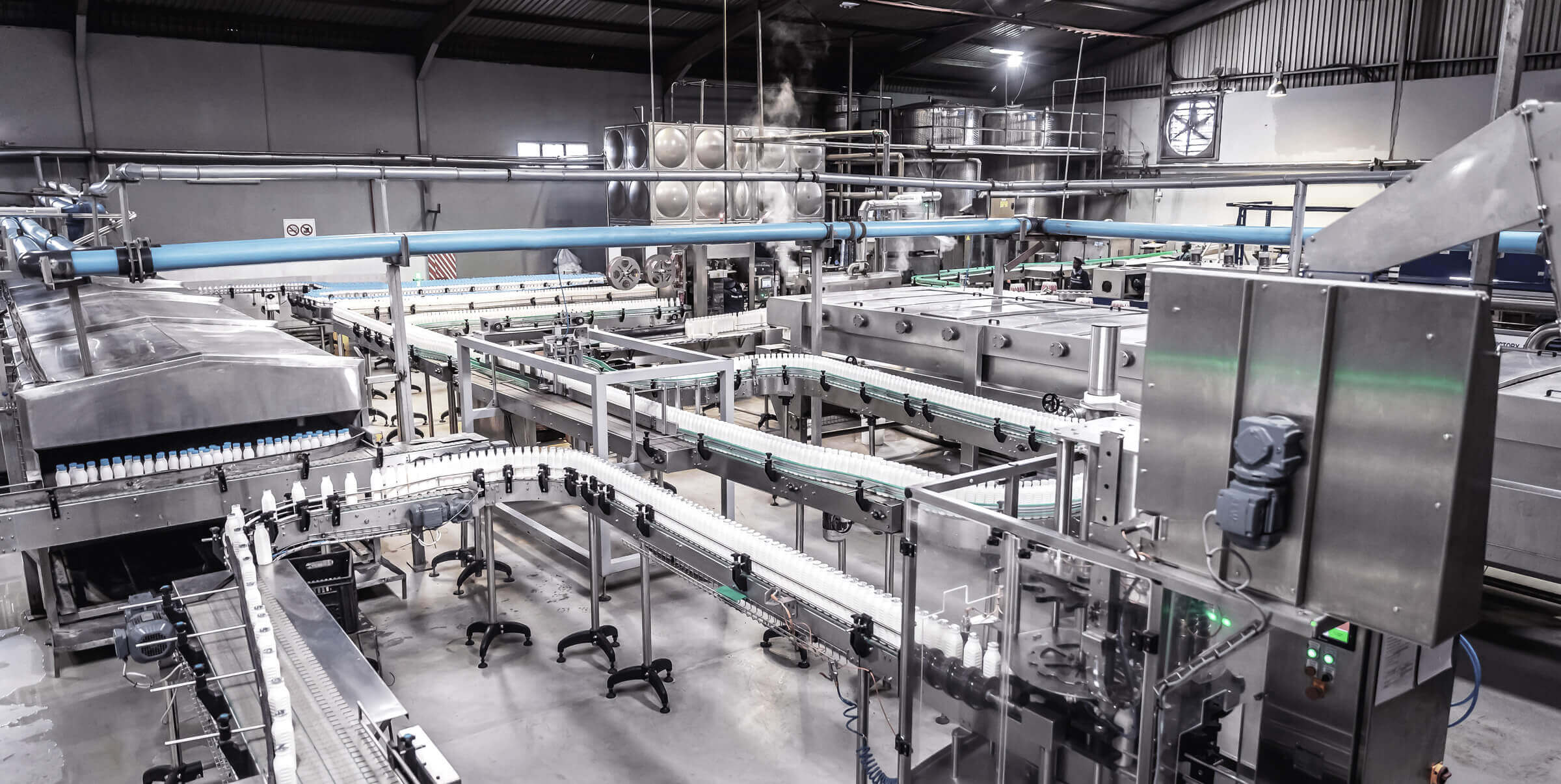 Bottling of milk in dairy factory