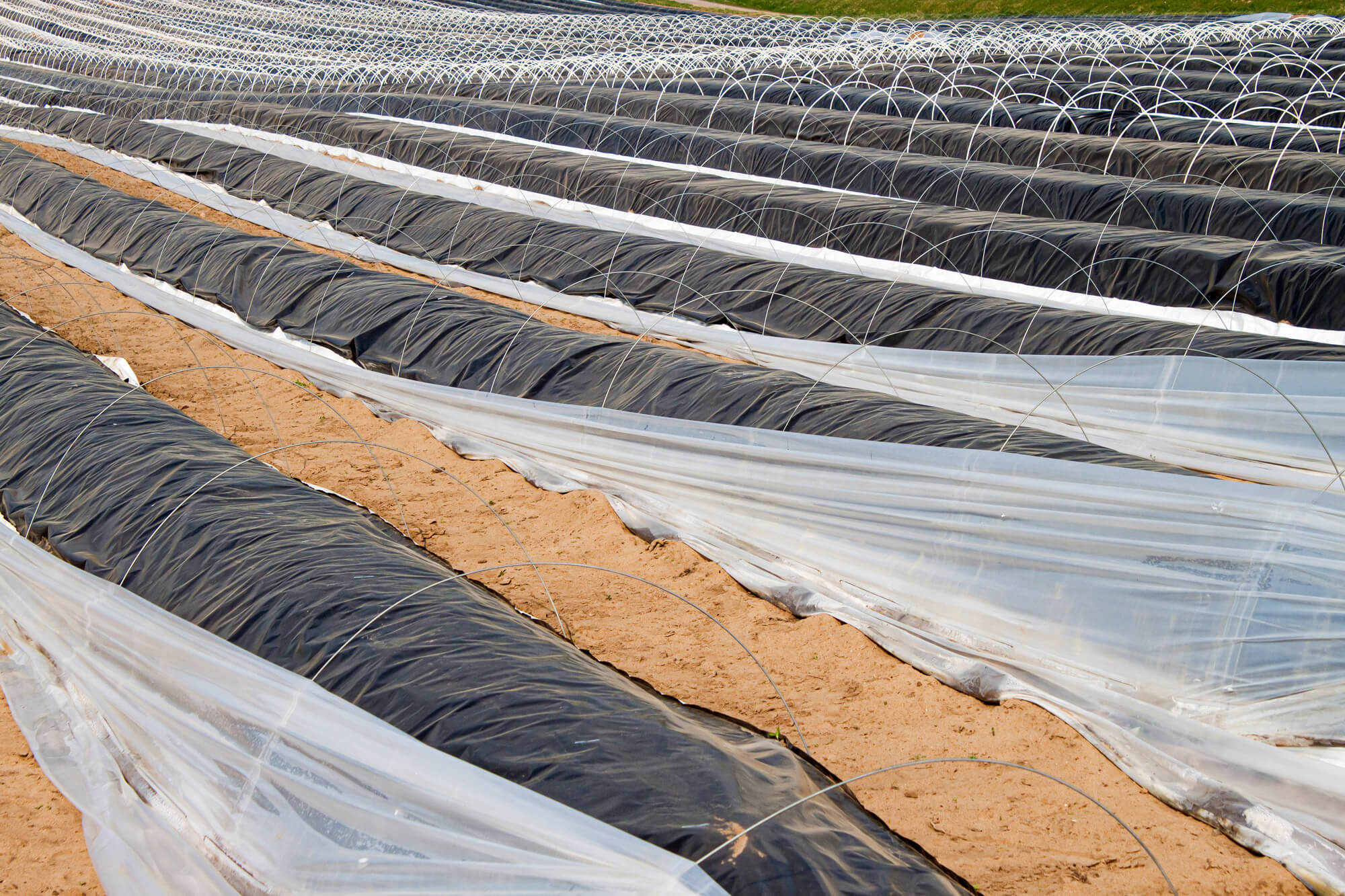 Field film for the agricultural business