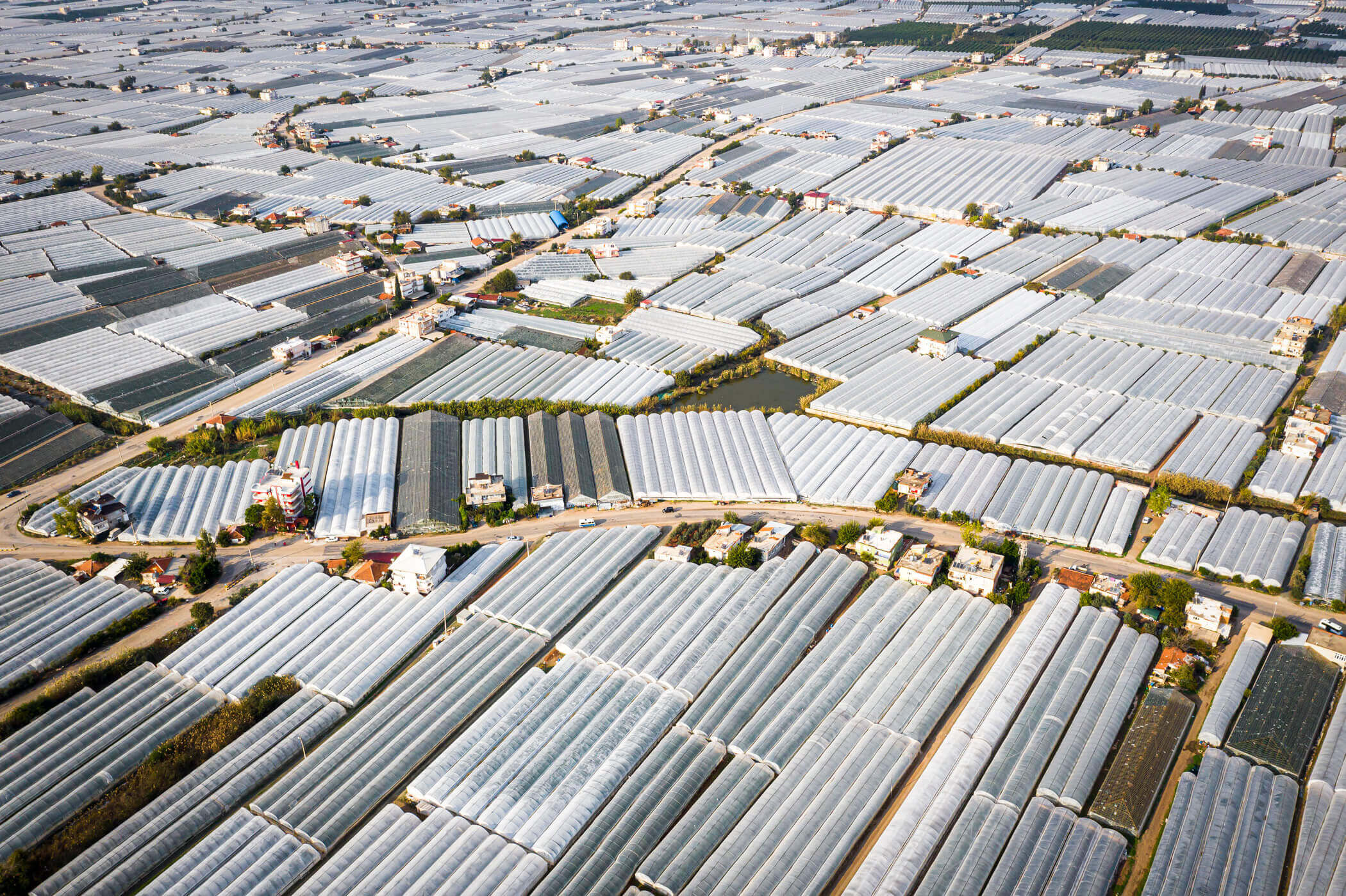Greenhouse film as far as the eye can see