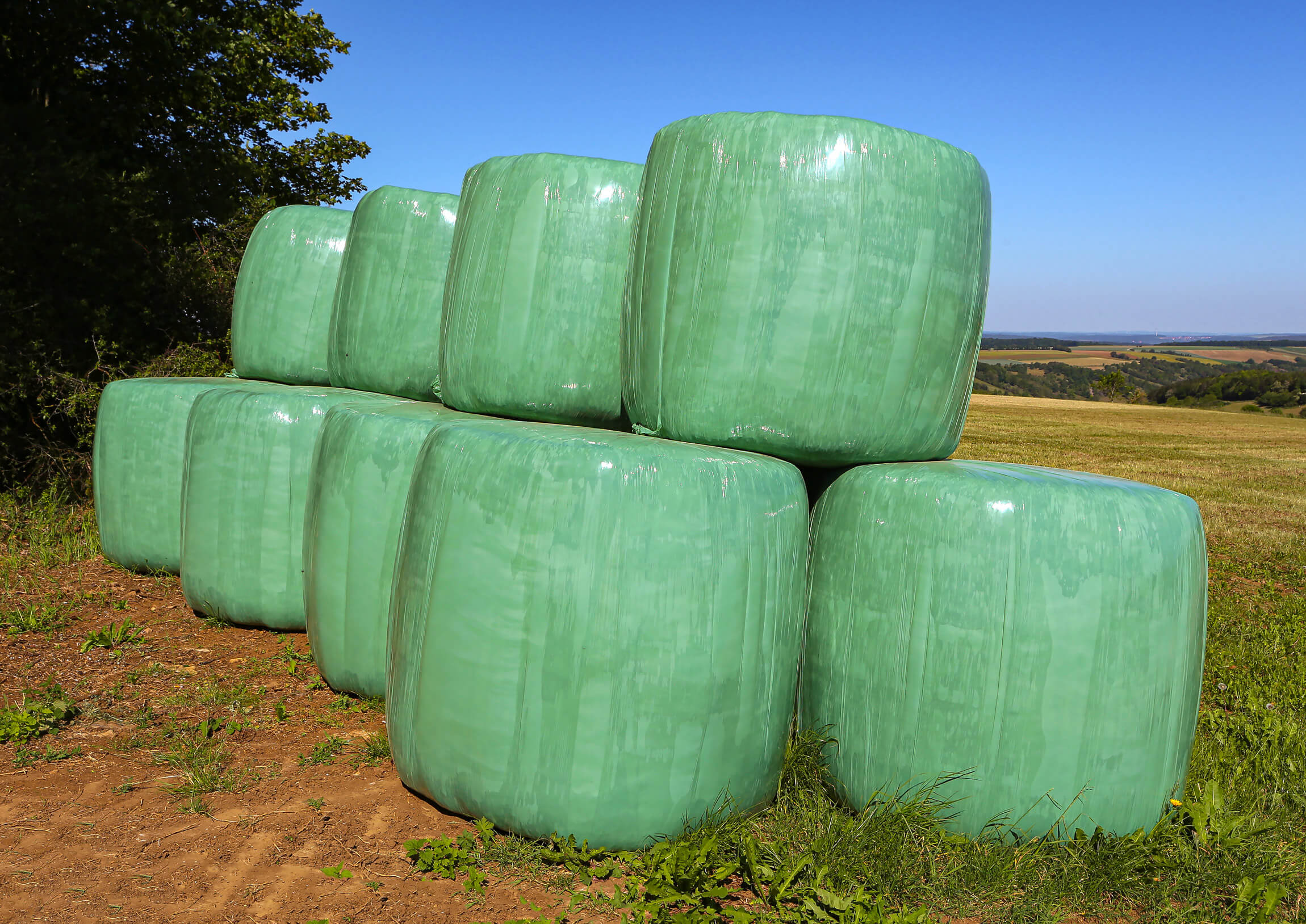 Silagefilm bales with hay