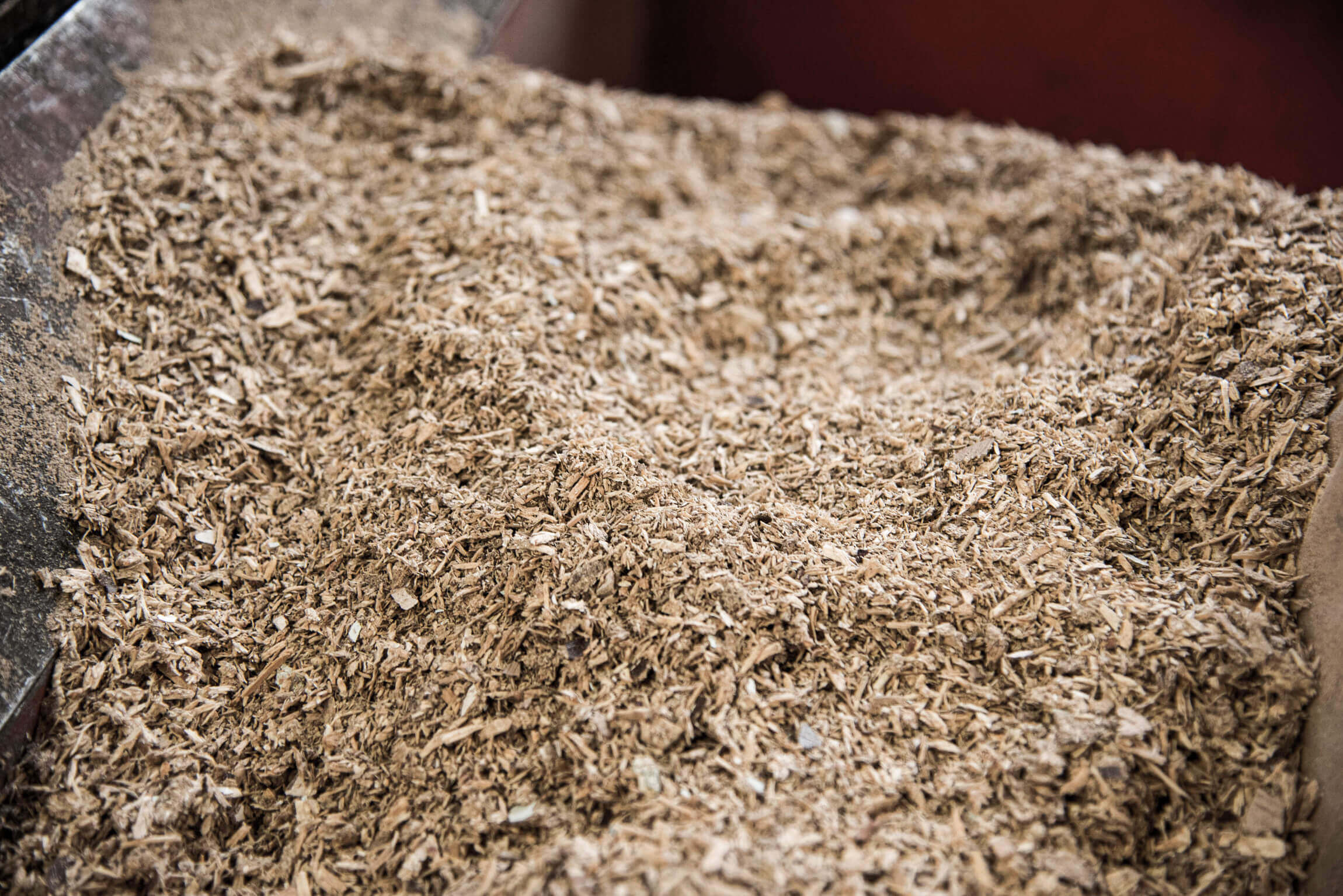 Grinded wood chips