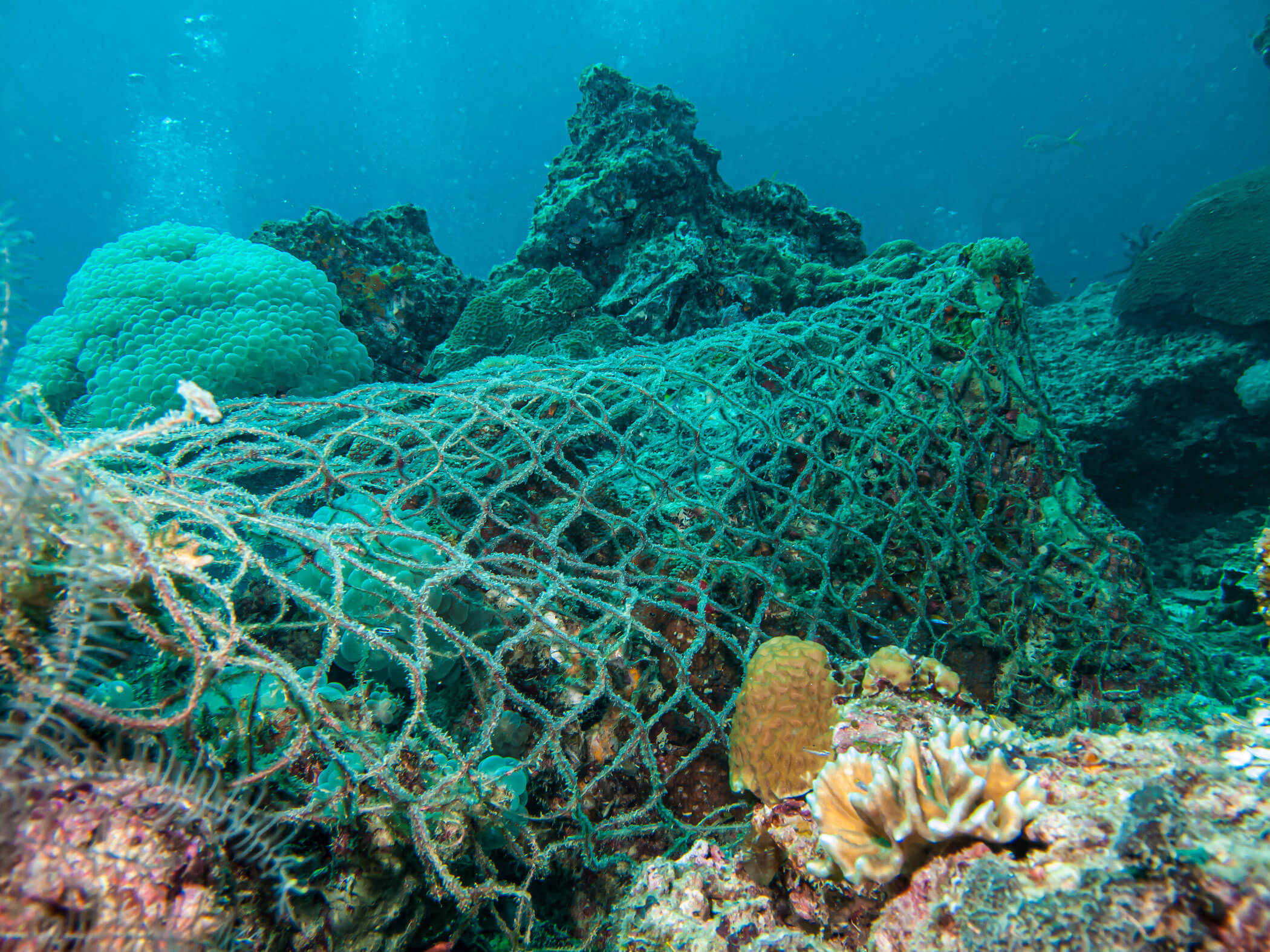 ghost nets on ocean sea ground