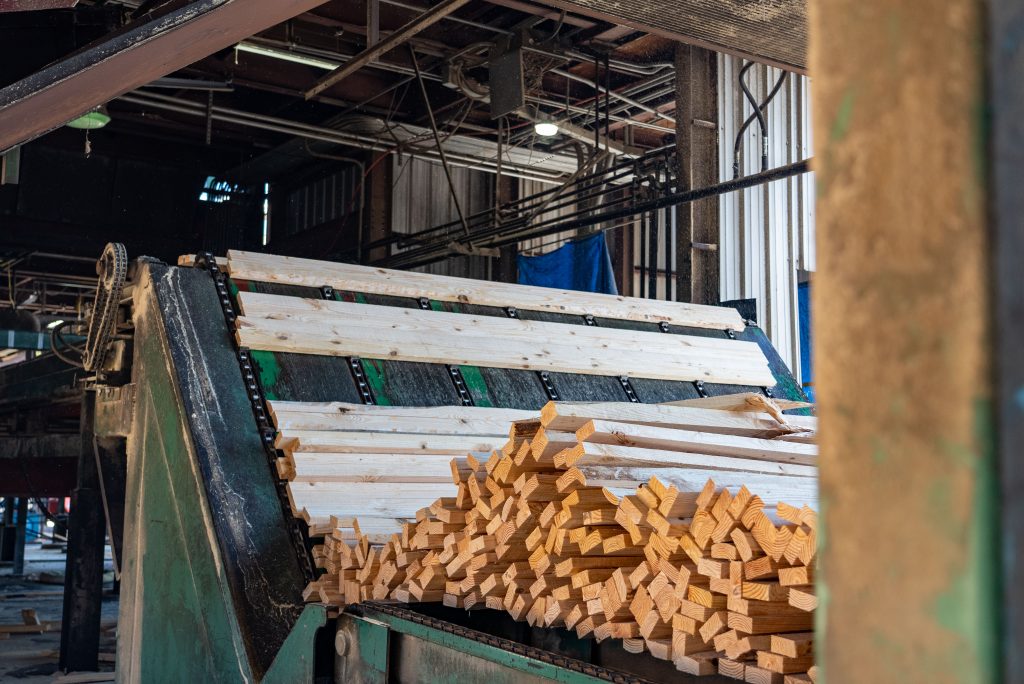The woodcuts are transported further with the help of a conveyor belt.