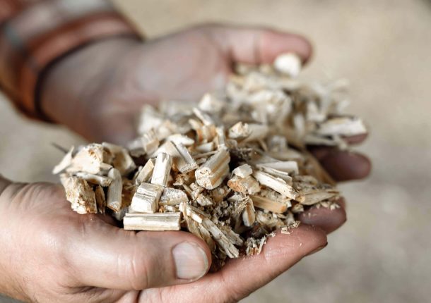 Shredded lumber mill waste wood in palms of hands