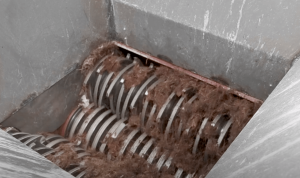 Coconut shells shredded by WEIMA shredder