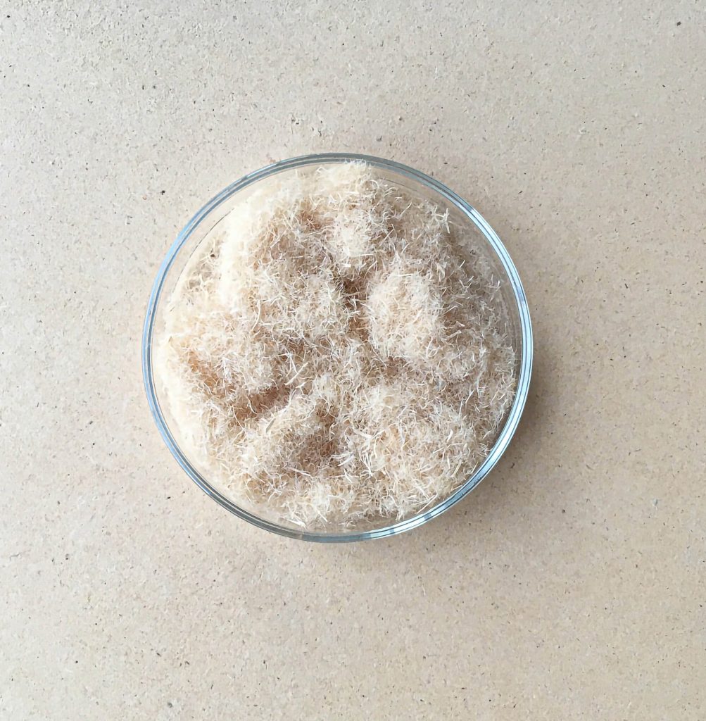 white Superwood fibers in a glass bowl