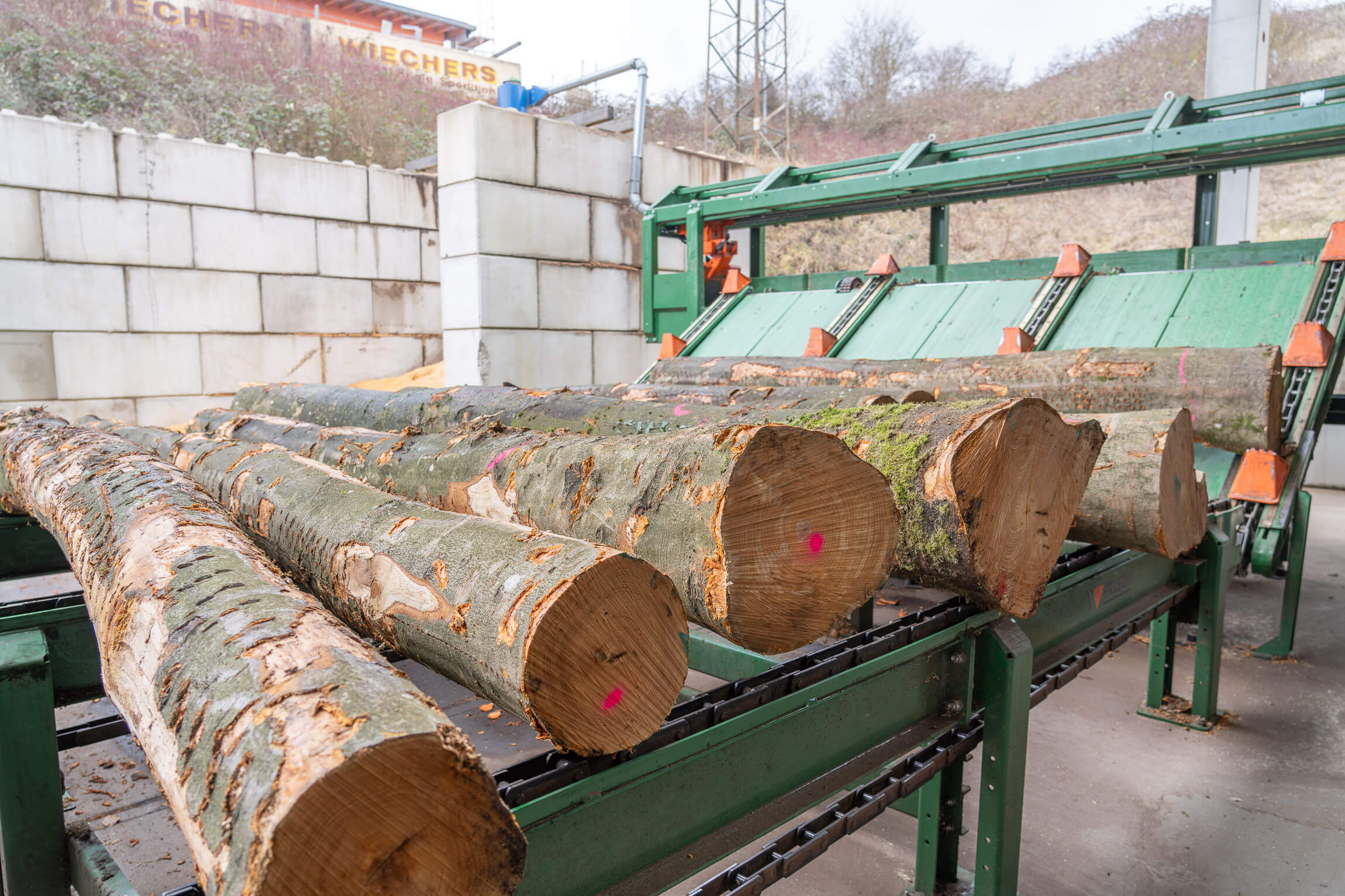Large stack of lying logs on a green wooden shelf