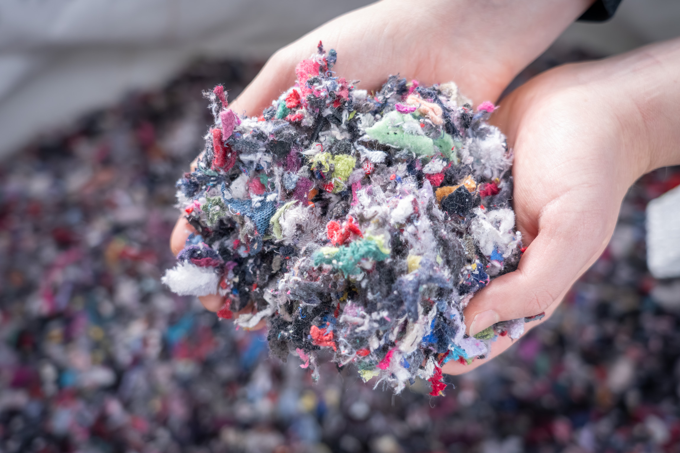 Textile fibers, shredded and held in the hands